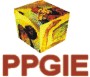 PGIE