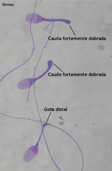 defeitos